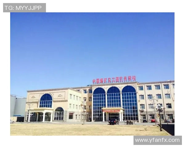 杭州排球队在联合会杯中的辉煌征程与突破成就全景回顾